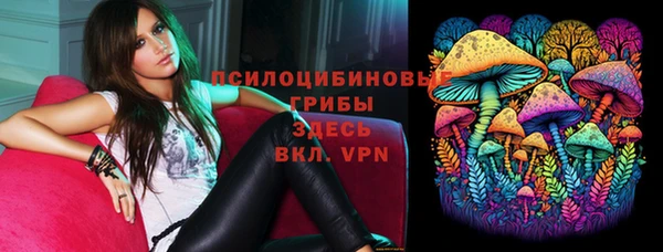 дживик Алзамай